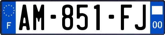 AM-851-FJ