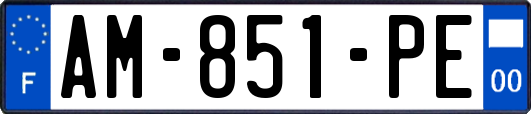 AM-851-PE