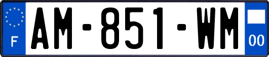 AM-851-WM