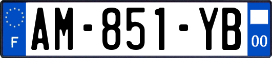AM-851-YB