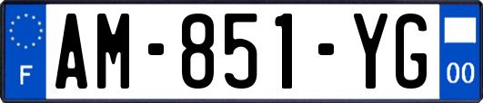 AM-851-YG