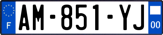 AM-851-YJ