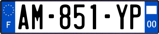 AM-851-YP