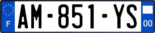 AM-851-YS