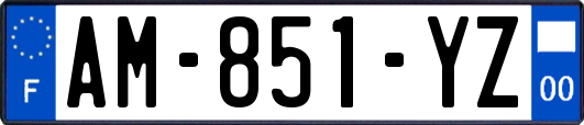AM-851-YZ