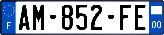 AM-852-FE