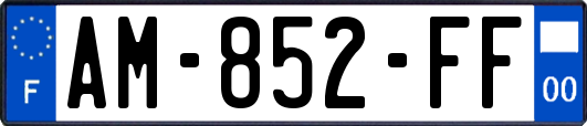 AM-852-FF