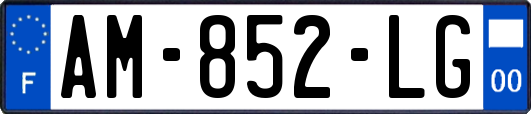 AM-852-LG