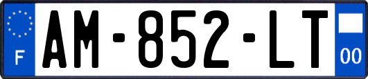 AM-852-LT