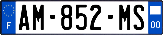 AM-852-MS