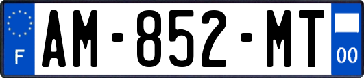 AM-852-MT