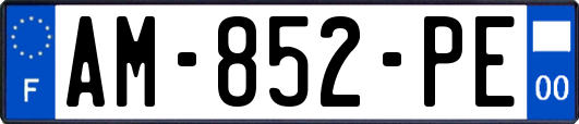 AM-852-PE