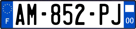 AM-852-PJ