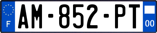 AM-852-PT