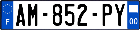 AM-852-PY