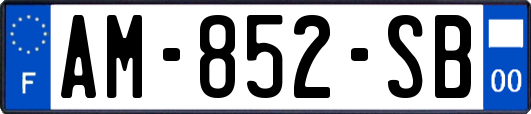 AM-852-SB