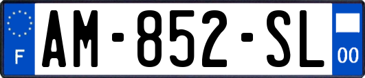 AM-852-SL