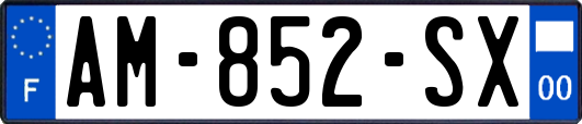AM-852-SX