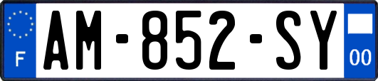 AM-852-SY