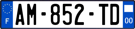 AM-852-TD