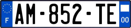 AM-852-TE