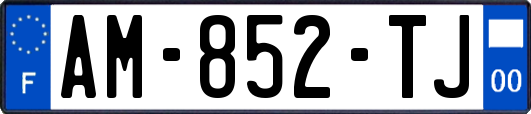 AM-852-TJ