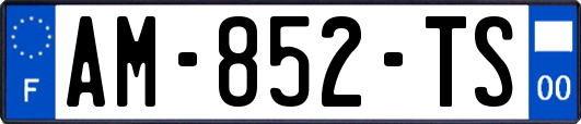 AM-852-TS