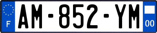 AM-852-YM