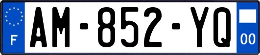 AM-852-YQ