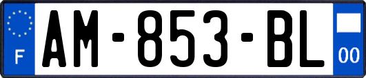 AM-853-BL
