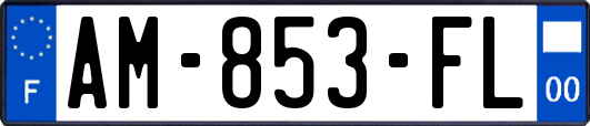 AM-853-FL