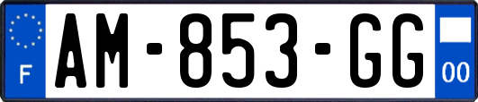 AM-853-GG