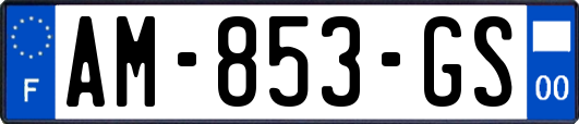 AM-853-GS
