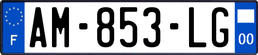 AM-853-LG