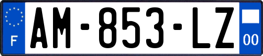 AM-853-LZ