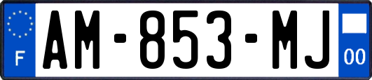 AM-853-MJ