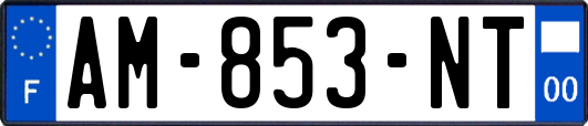 AM-853-NT