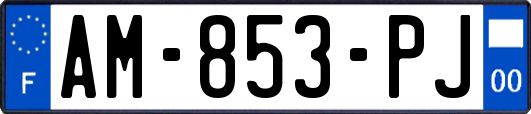 AM-853-PJ