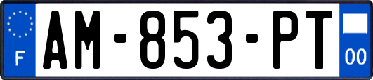 AM-853-PT