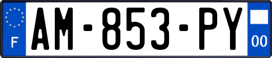 AM-853-PY