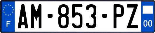 AM-853-PZ