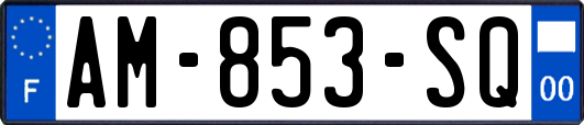 AM-853-SQ