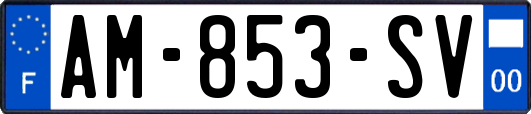 AM-853-SV