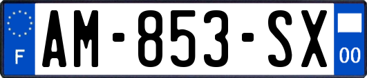 AM-853-SX