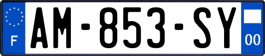 AM-853-SY