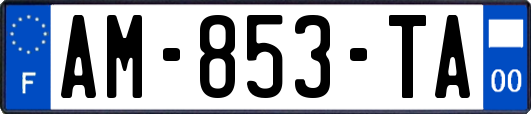 AM-853-TA