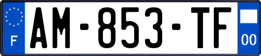 AM-853-TF