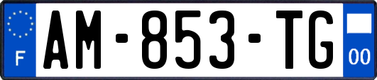 AM-853-TG