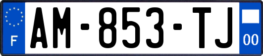AM-853-TJ