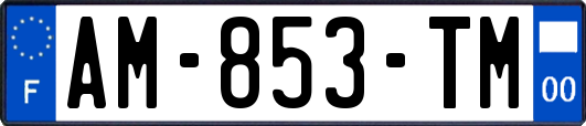 AM-853-TM